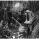 Image for article titled Boozy Snapshots of American Life Under Prohibition